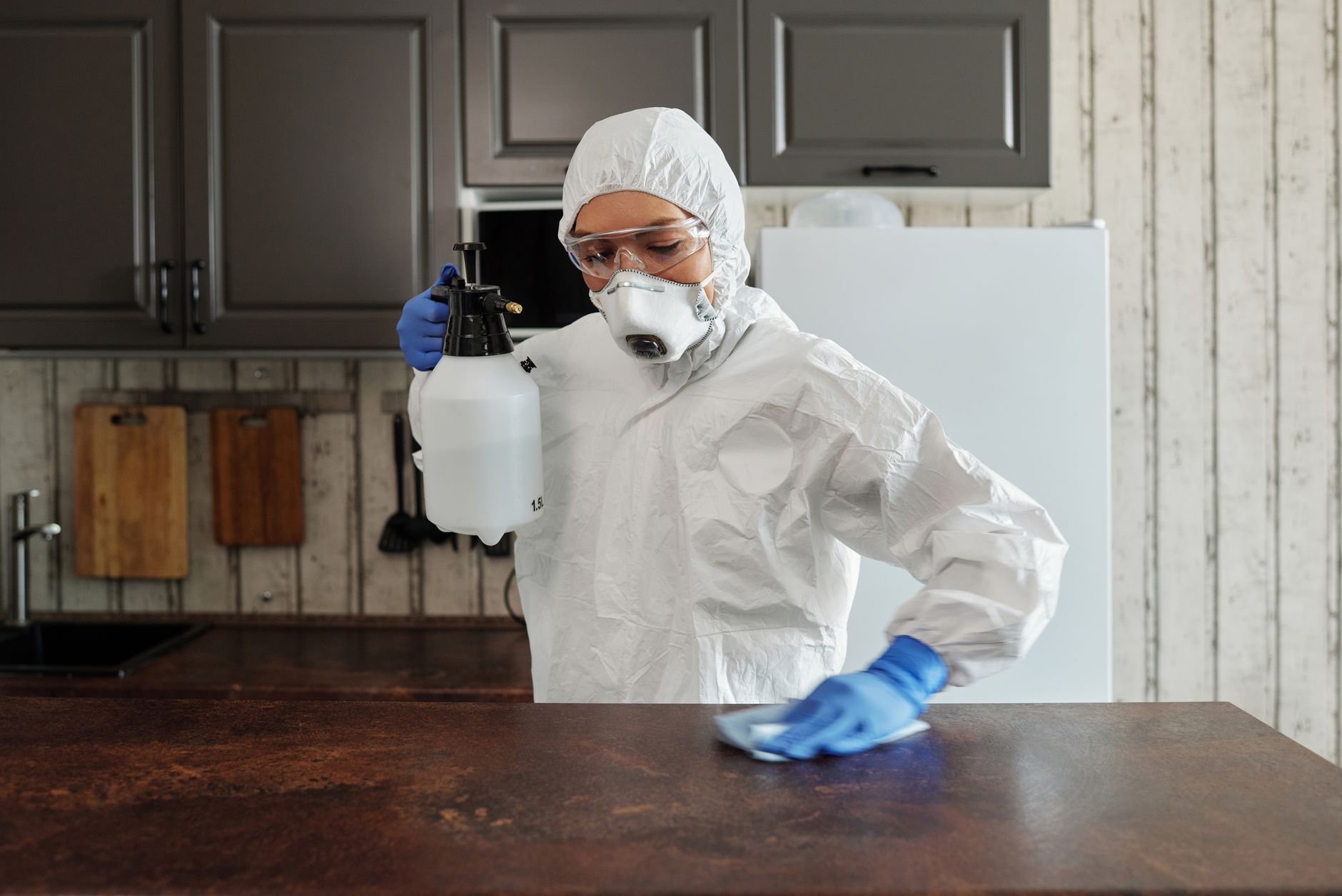 Disinfection & Sanitization — Brightwork